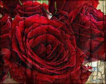 Love Roses by rosanna zavanaiu