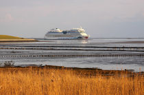 Kreuzfahrtschiff - cruise ship von ropo13