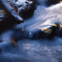 Autumn river von Intensivelight Panorama-Edition
