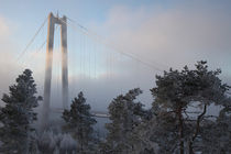 Suspension bridge in winter von Intensivelight Panorama-Edition