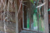 Window of a log house with grass roof by Intensivelight Panorama-Edition