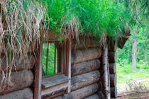 Log house with grass roof by Intensivelight Panorama-Edition