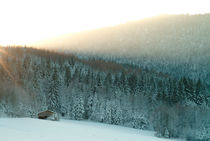 The cabin in the forest von Intensivelight Panorama-Edition