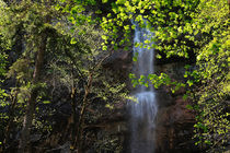 Waterfall in spring von Intensivelight Panorama-Edition