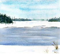 Winter Pond by Sandy McDermott