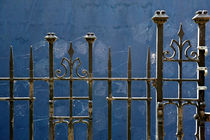 Cobwebs on Railings von Liz Alderdice