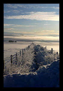 Still Life - Frozen Scotland von Liz Alderdice