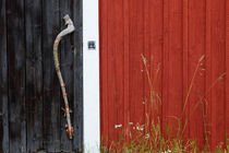 Old door von Intensivelight Panorama-Edition