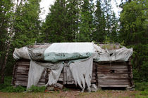 Wrapped log house in a forest von Intensivelight Panorama-Edition