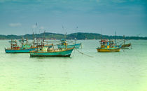 Boote im Hafen von Mirissa auf der tropischen Insel Sri Lanka by Gina Koch