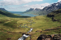 Valley at Seyðisfjörður, Iceland by intothewide
