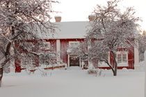 Red farm-house in the snow von Intensivelight Panorama-Edition