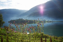 Island in Norway von intothewide