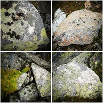 Stones with moss, Norway von intothewide