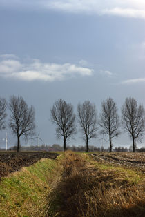 Graben im Feld - Trench in the field von ropo13