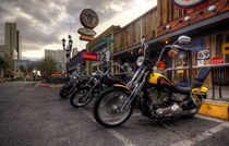 Vegas Hogs  von Rob Hawkins