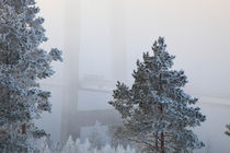 Bridge through foggy landscape von Intensivelight Panorama-Edition