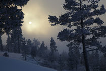 Wintersun by Intensivelight Panorama-Edition