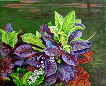 CROTONS 2 by Usha Shantharam