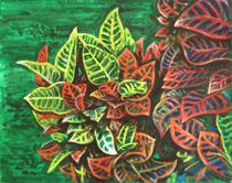 CROTONS 3 by Usha Shantharam