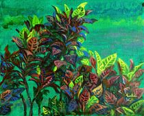 CROTONS 7 by Usha Shantharam