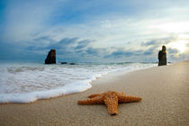 Starfish and monoliths von Sean Davey