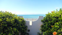 Pflanzen mit Ausblick aufs Meer von Sven  Herkenrath