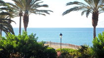 Palmen mit Ausblick aufs Meer by Sven  Herkenrath