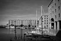 Albert Dock and Liver Buildings  by illu