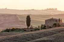 Tuscan Fall von Henrik Spranz