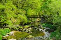 River Foorbridge, Exmoor von Craig Joiner