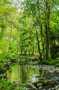 East Lyn River, Exmoor, England von Craig Joiner