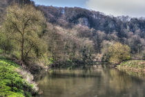 The Wye at Symonds Yat by David Tinsley