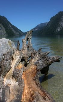 Silent Nature von Michael Beilicke