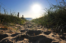 Spuren am Strand by Olaf von Lieres