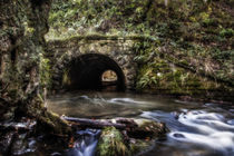 Blackpool Brook by David Tinsley