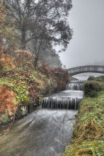 Blackpool Brook - II by David Tinsley