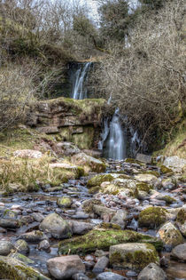 Winter Waterfall von David Tinsley