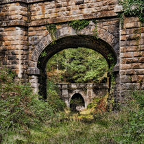 Mierystock Bridge and Tunnel von David Tinsley