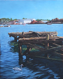 Southampton Northam River Itchen old jetty with sea birds von Martin  Davey