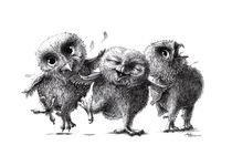 Crazy - Happy - Owls von Stefan Kahlhammer