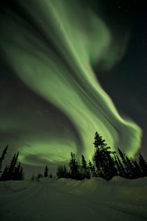 Swirls of Northern Lights over the Midnight Dome von Priska  Wettstein