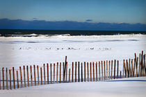 Winter at the beach von Milena Ilieva