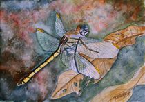 dragonfly von Derek McCrea