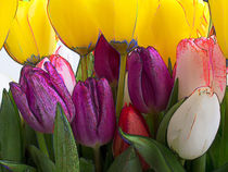 tulips von Leandro Bistolfi