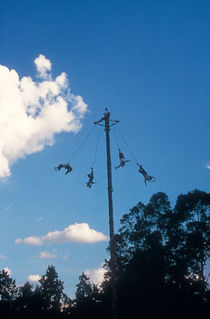 VOLADORES El Tajin Mexico von John Mitchell