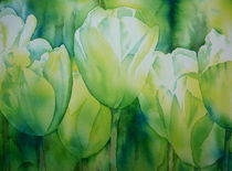 Weiße Tulpen von Thomas Habermann