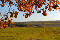 Autumn landscape by Volodymyr Chaban