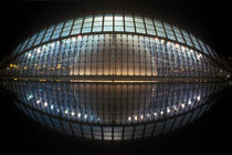 City of Arts and Sciences, Valencia 2006 von Michel Meijer