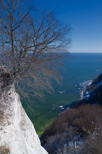 Rügen von Annette Sturm